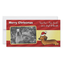 Christmas Dachshund (longhair)