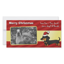 Christmas Dachshund (smooth coat)