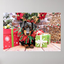 Christmas - Dachshund - Tanner Posters