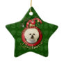 Christmas - Deck the Halls - Bichons Christmas Tree Ornaments
