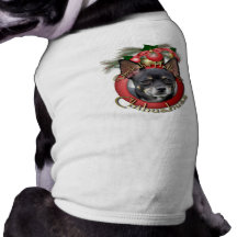 Christmas - Deck the Halls - Chihuahuas - Isabella Dog Clothes