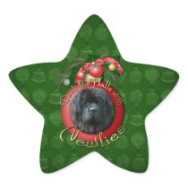 Christmas - Deck the Halls - Newfie