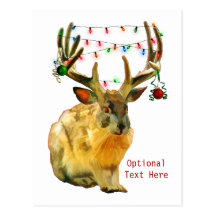 Christmas Decorated Jackalope Postcards