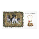 Christmas Deer Photo Card