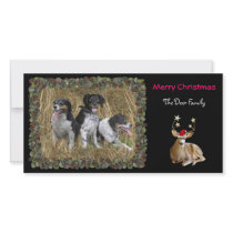 Christmas Deer Photo Card