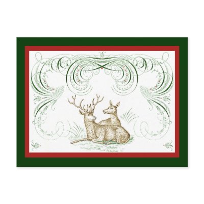 Christmas Deer Post Card by cmariegifts
