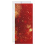 christmas design rack card design