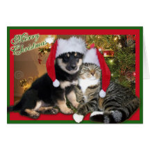 Christmas Dog & Cat Cards