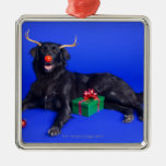 Christmas dog christmas ornaments