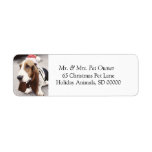 Christmas Dog Make Holiday Cards Address Label