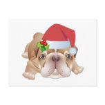 Christmas Dog Postcard