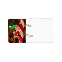 Christmas Elf Pokey Gift Tags Personalized Address Labels