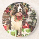 Christmas - English Springer Spaniel - Cloe Beverage Coaster