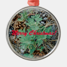 Christmas Forest Ornament