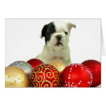 Christmas French Bulldog puppy Card