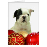 Christmas French Bulldog puppy Greeting Card