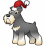 Christmas Giant/Standard/Miniature Schnauzer