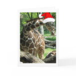 Christmas Giraffe Greeting Card
