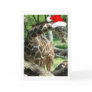Christmas Giraffe Greeting Card