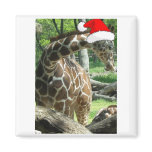 Christmas Giraffe Magnet