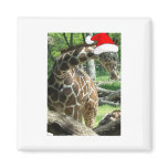 Christmas Giraffe Magnet