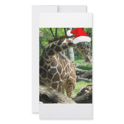 Christmas Giraffe Customized Photo Card by Incatneato
