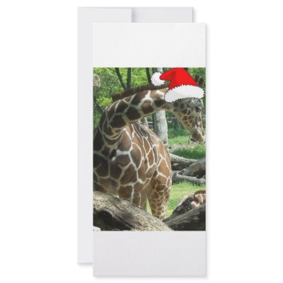 Christmas Giraffe Custom Rack Cards by Incatneato