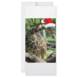Christmas Giraffe rack cards