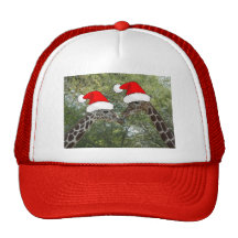 Christmas Giraffes Hats