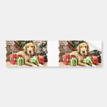Christmas - Golden Retriever - Atticus Bumper Stickers