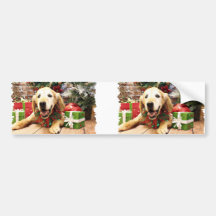 Christmas - Golden Retriever - Jazzy Bumper Sticker