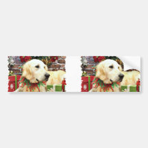 Christmas - Golden Retriever - Lily Bumper Stickers