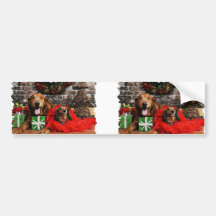 Christmas - Golden Retriever Max - Doxie - Chloe Bumper Stickers