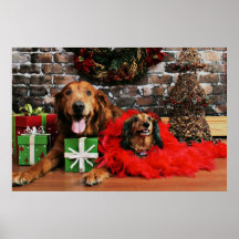Christmas - Golden Retriever Max - Doxie - Chloe Poster