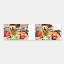 Christmas - Golden Retriever - Rocky Bumper Stickers
