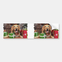 Christmas - Golden Retriever - Sidney Bumper Sticker