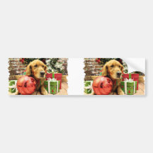 Christmas - Golden Retriever - Zoe Bumper Sticker