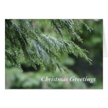 Christmas Greetings Card