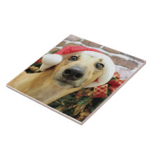 Christmas - Greyhound - Pena Ceramic Tile