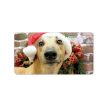 Christmas - Greyhound - Pena Labels
