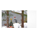 Christmas Heron in Snow Photo Photo Card Template