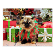 Christmas - Himalayan Cat - Pansy Postcards