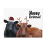 Christmas Holiday Cows in Santa Hat and Antlers Postcards