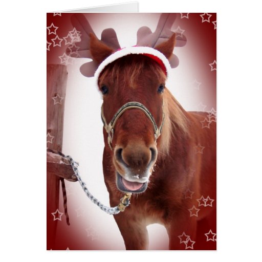 Christmas Horse Greeting Card