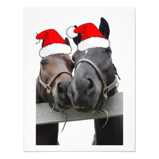 Christmas Horses Announcement