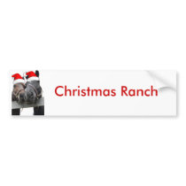 Christmas Horses