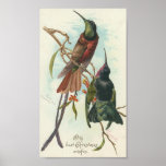 Christmas Hummingbirds Print