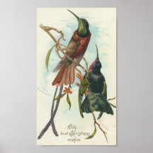 Christmas Hummingbirds Print