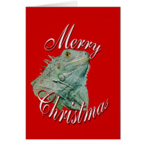 Christmas Iguana cards