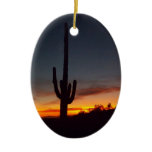 Christmas in Arizona Ornaments